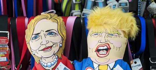 Выборы в США Выборы в США
