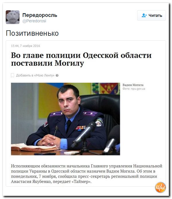 "Мыздобулы" в картинках. Смешных и не очень... 8-11-2016