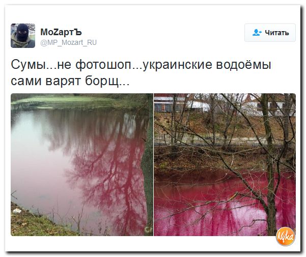 "Мыздобулы" в картинках. Смешных и не очень... 8-11-2016