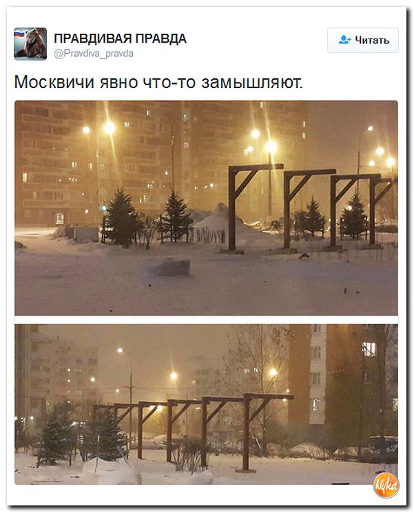 "Мыздобулы" в картинках. Смешных и не очень... 8-11-2016
