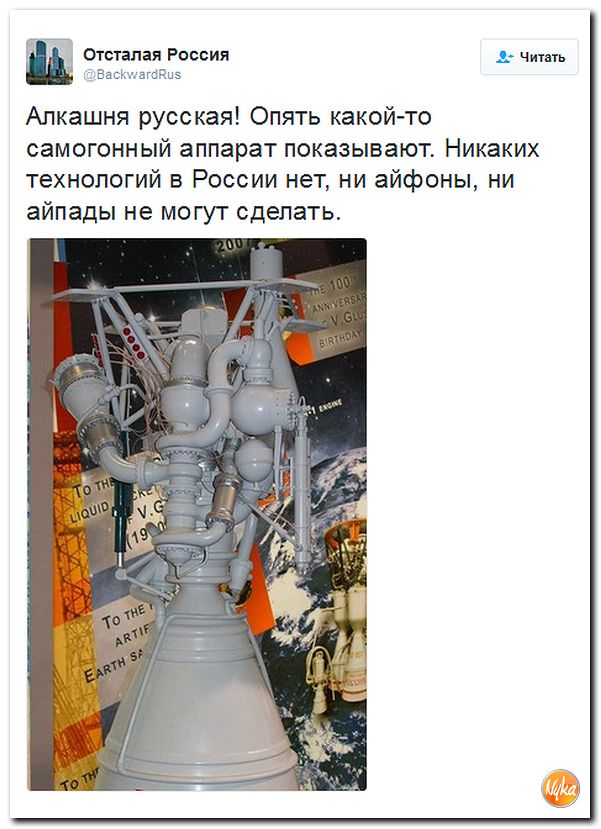 "Мыздобулы" в картинках. Смешных и не очень... 8-11-2016
