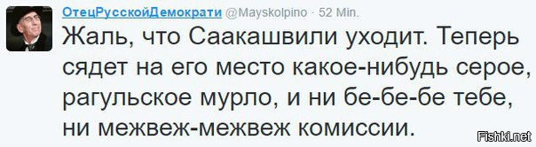 "Мыздобулы" в картинках. Смешных и не очень... 8-11-2016