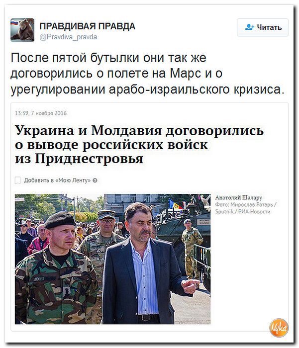 "Мыздобулы" в картинках. Смешных и не очень... 8-11-2016