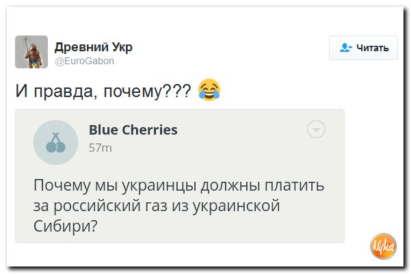 "Мыздобулы" в картинках. Смешных и не очень... 8-11-2016