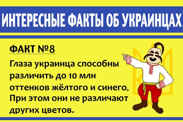 "Мыздобулы" в картинках. Смешных и не очень... 8-11-2016