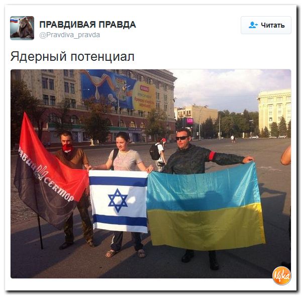 "Мыздобулы" в картинках. Смешных и не очень... 8-11-2016