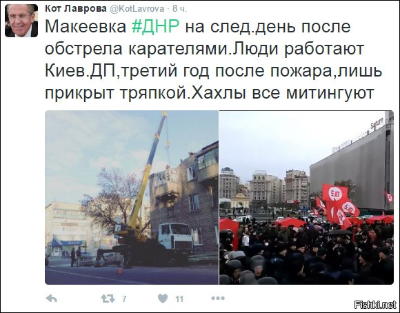 "Мыздобулы" в картинках. Смешных и не очень... 8-11-2016