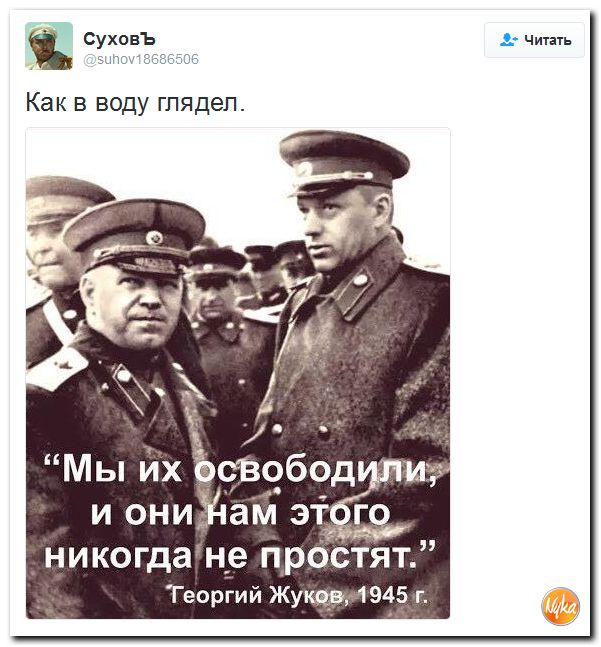 "Мыздобулы" в картинках. Смешных и не очень... 9-11-2016