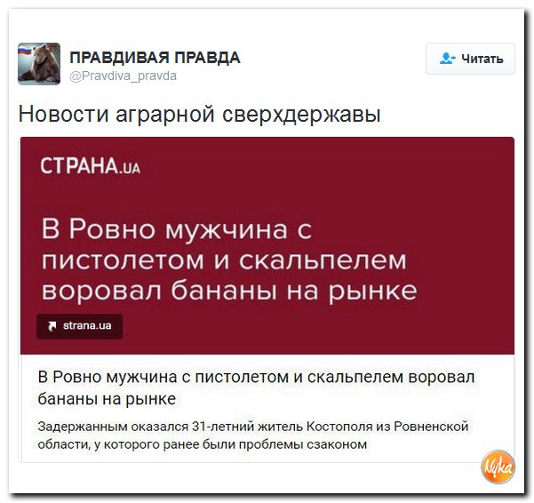 "Мыздобулы" в картинках. Смешных и не очень... 9-11-2016