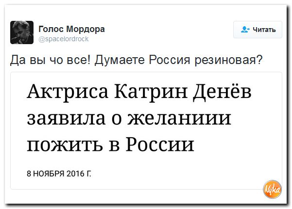 "Мыздобулы" в картинках. Смешных и не очень... 9-11-2016