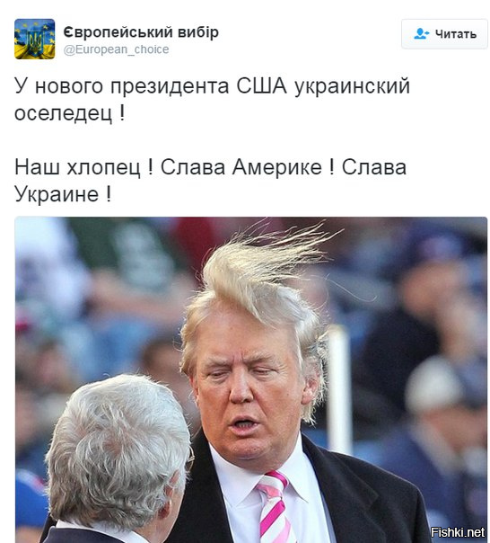 "Мыздобулы" в картинках. Смешных и не очень... 9-11-2016