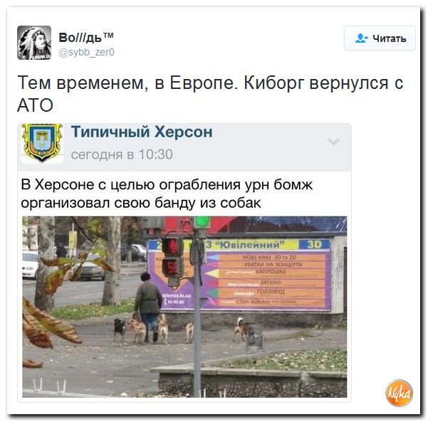 "Мыздобулы" в картинках. Смешных и не очень... 9-11-2016