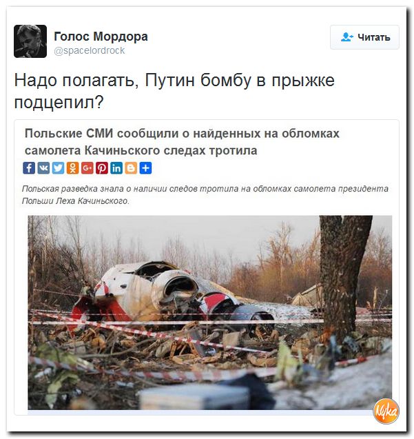 "Мыздобулы" в картинках. Смешных и не очень... 9-11-2016
