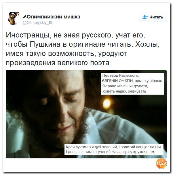 "Мыздобулы" в картинках. Смешных и не очень... 9-11-2016