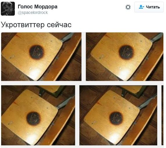 "Мыздобулы" в картинках. Смешных и не очень... 9-11-2016