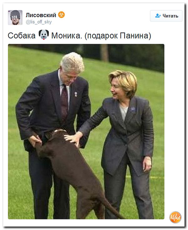"Мыздобулы" в картинках. Смешных и не очень... 9-11-2016