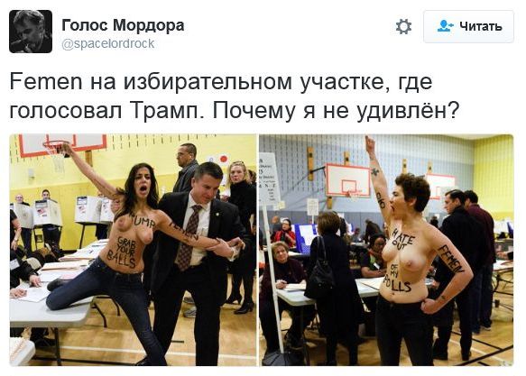 "Мыздобулы" в картинках. Смешных и не очень... 9-11-2016