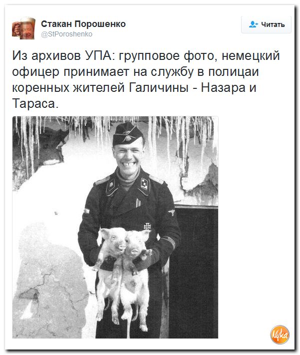 "Мыздобулы" в картинках. Смешных и не очень... 9-11-2016