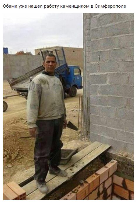 "Мыздобулы" в картинках. Смешных и не очень... 9-11-2016 (2)