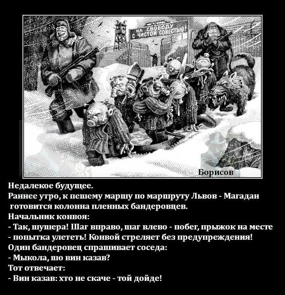 "Мыздобулы" в картинках. Смешных и не очень... 9-11-2016 (2)