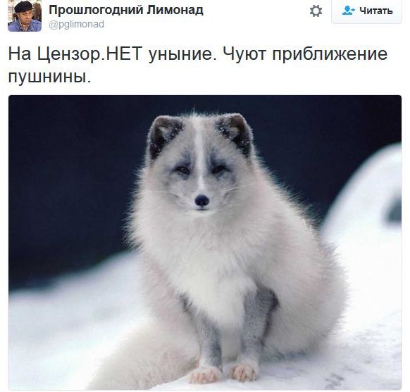 "Мыздобулы" в картинках. Смешных и не очень... 9-11-2016 (2)