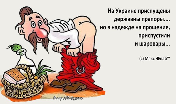 "Мыздобулы" в картинках. Смешных и не очень... 9-11-2016 (2)