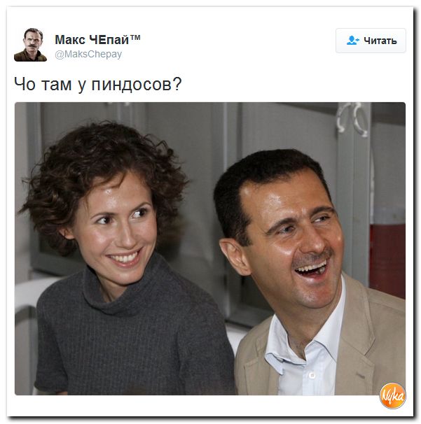 "Мыздобулы" в картинках. Смешных и не очень... 10-11-2016