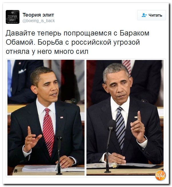 "Мыздобулы" в картинках. Смешных и не очень... 10-11-2016
