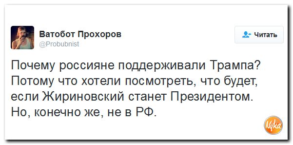 "Мыздобулы" в картинках. Смешных и не очень... 10-11-2016