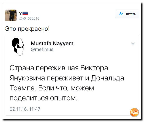 "Мыздобулы" в картинках. Смешных и не очень... 10-11-2016