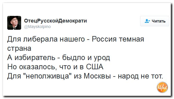 "Мыздобулы" в картинках. Смешных и не очень... 10-11-2016