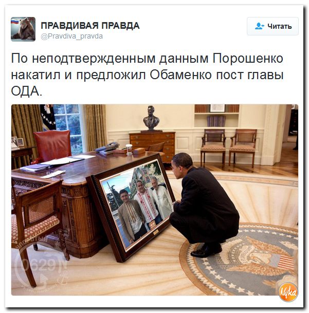 "Мыздобулы" в картинках. Смешных и не очень... 10-11-2016