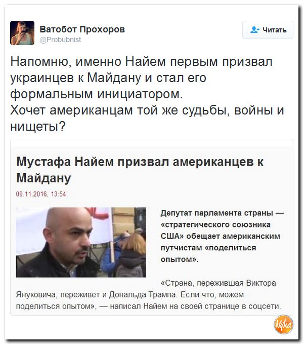 "Мыздобулы" в картинках. Смешных и не очень... 10-11-2016