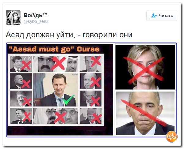 "Мыздобулы" в картинках. Смешных и не очень... 10-11-2016