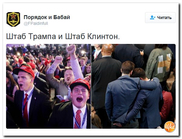 "Мыздобулы" в картинках. Смешных и не очень... 10-11-2016