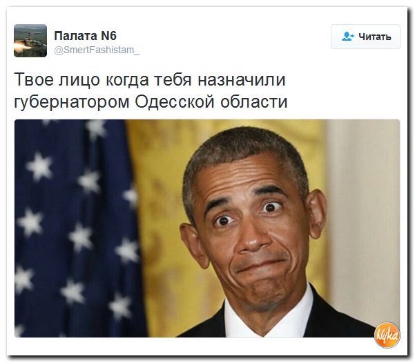 "Мыздобулы" в картинках. Смешных и не очень... 10-11-2016