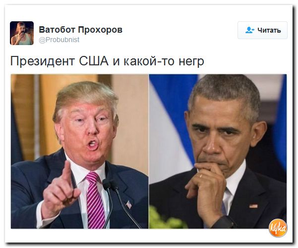 "Мыздобулы" в картинках. Смешных и не очень... 10-11-2016