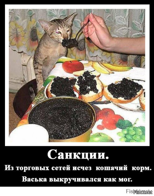 "Мыздобулы" в картинках. Смешных и не очень... 10-11-2016