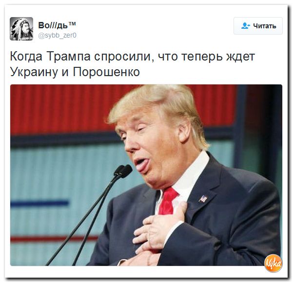 "Мыздобулы" в картинках. Смешных и не очень... 11-11-2016 "Мыздобулы" в картинках. Смешных и не очень... 11-11-2016