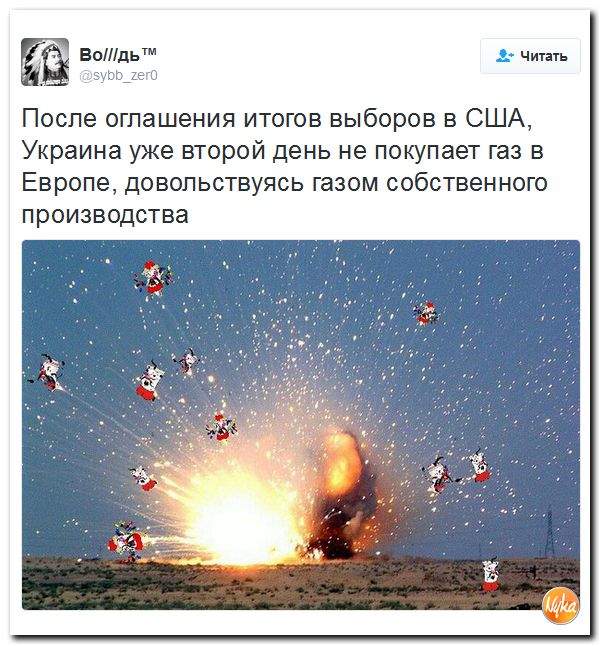 "Мыздобулы" в картинках. Смешных и не очень... 11-11-2016 "Мыздобулы" в картинках. Смешных и не очень... 11-11-2016