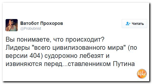 "Мыздобулы" в картинках. Смешных и не очень... 11-11-2016 "Мыздобулы" в картинках. Смешных и не очень... 11-11-2016