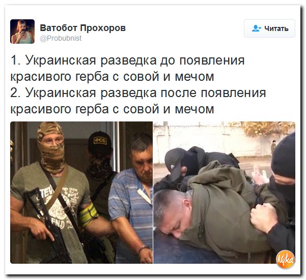 "Мыздобулы" в картинках. Смешных и не очень... 11-11-2016 "Мыздобулы" в картинках. Смешных и не очень... 11-11-2016