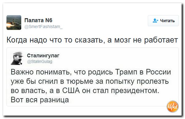 "Мыздобулы" в картинках. Смешных и не очень... 11-11-2016 "Мыздобулы" в картинках. Смешных и не очень... 11-11-2016