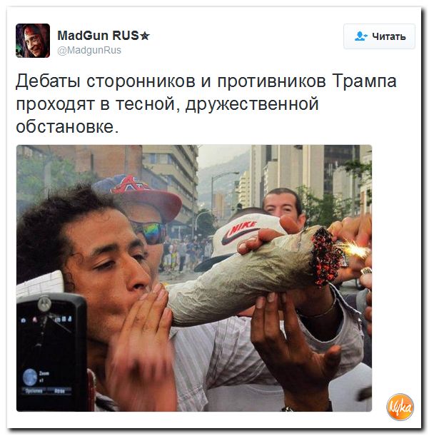 "Мыздобулы" в картинках. Смешных и не очень... 11-11-2016 "Мыздобулы" в картинках. Смешных и не очень... 11-11-2016