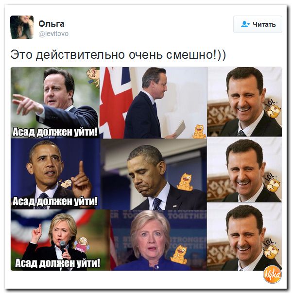 "Мыздобулы" в картинках. Смешных и не очень... 11-11-2016 "Мыздобулы" в картинках. Смешных и не очень... 11-11-2016