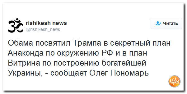 "Мыздобулы" в картинках. Смешных и не очень... 11-11-2016 "Мыздобулы" в картинках. Смешных и не очень... 11-11-2016