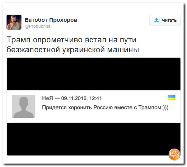 "Мыздобулы" в картинках. Смешных и не очень... 11-11-2016 "Мыздобулы" в картинках. Смешных и не очень... 11-11-2016