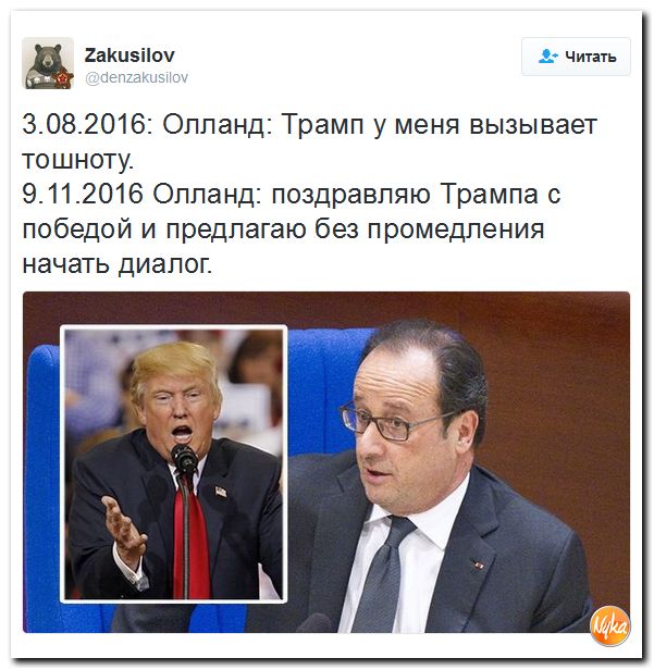 "Мыздобулы" в картинках. Смешных и не очень... 11-11-2016 "Мыздобулы" в картинках. Смешных и не очень... 11-11-2016
