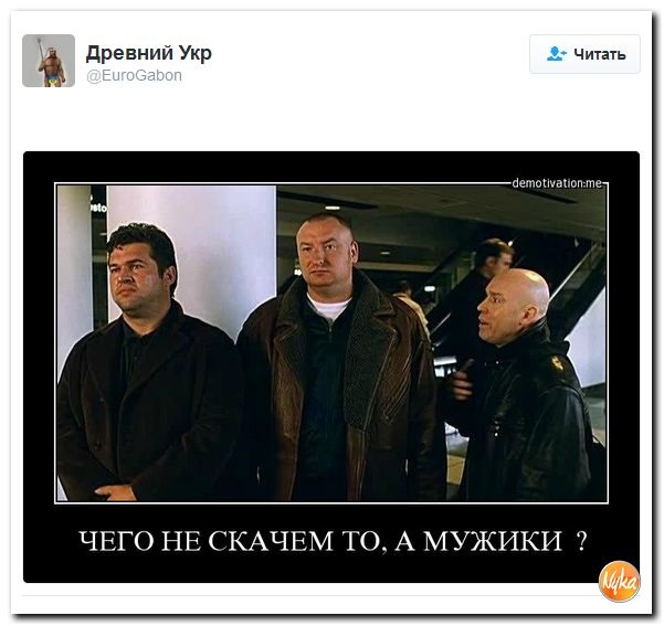 "Мыздобулы" в картинках. Смешных и не очень... 11-11-2016 "Мыздобулы" в картинках. Смешных и не очень... 11-11-2016