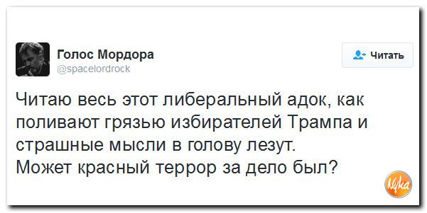 "Мыздобулы" в картинках. Смешных и не очень... 11-11-2016 "Мыздобулы" в картинках. Смешных и не очень... 11-11-2016
